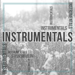Instrumentals